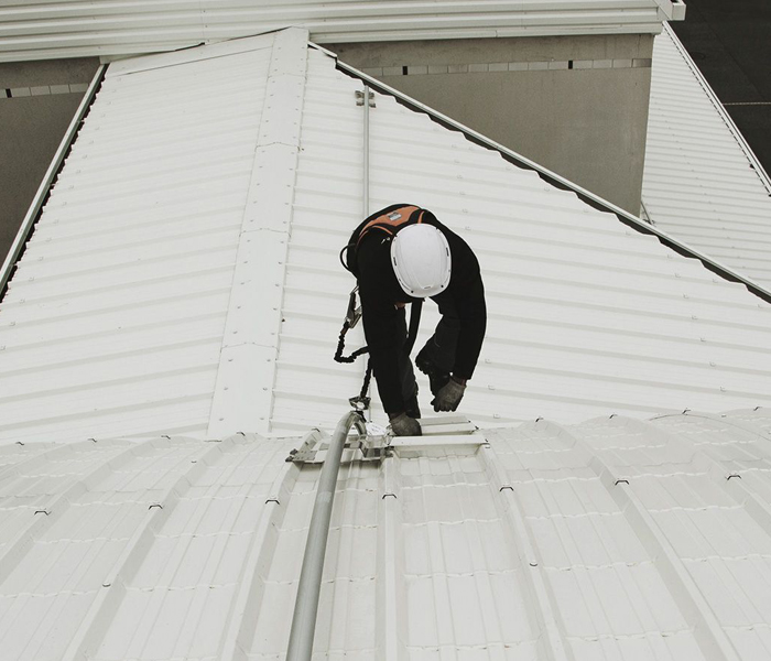 ballbet������(�й�)����ɭ����